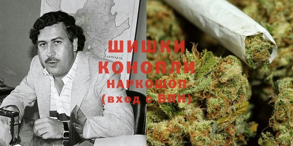 тгк Абаза