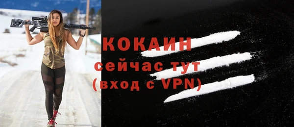 тгк Абаза