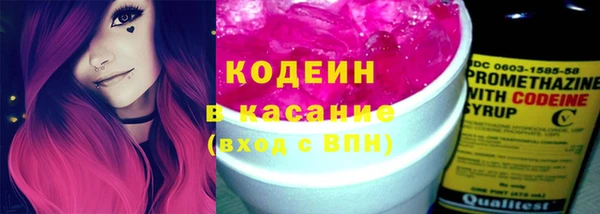 тгк Абаза