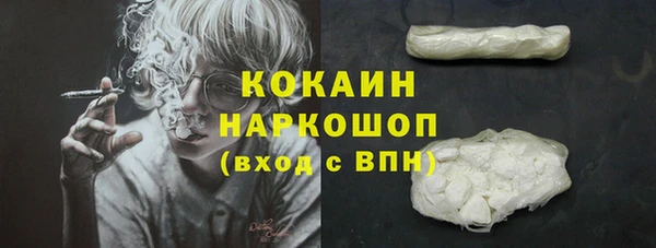 тгк Абаза