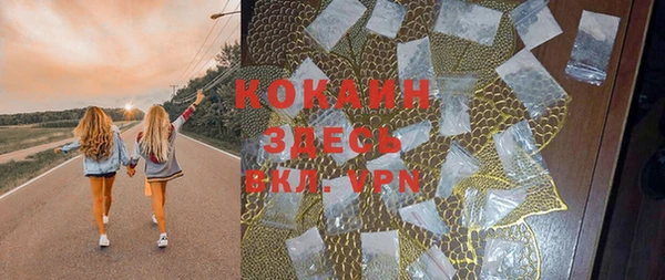 тгк Абаза