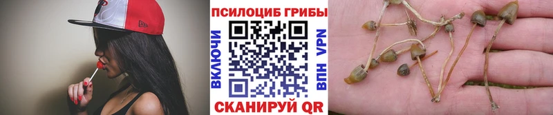 Галлюциногенные грибы прущие грибы  что такое наркотик  Орск 