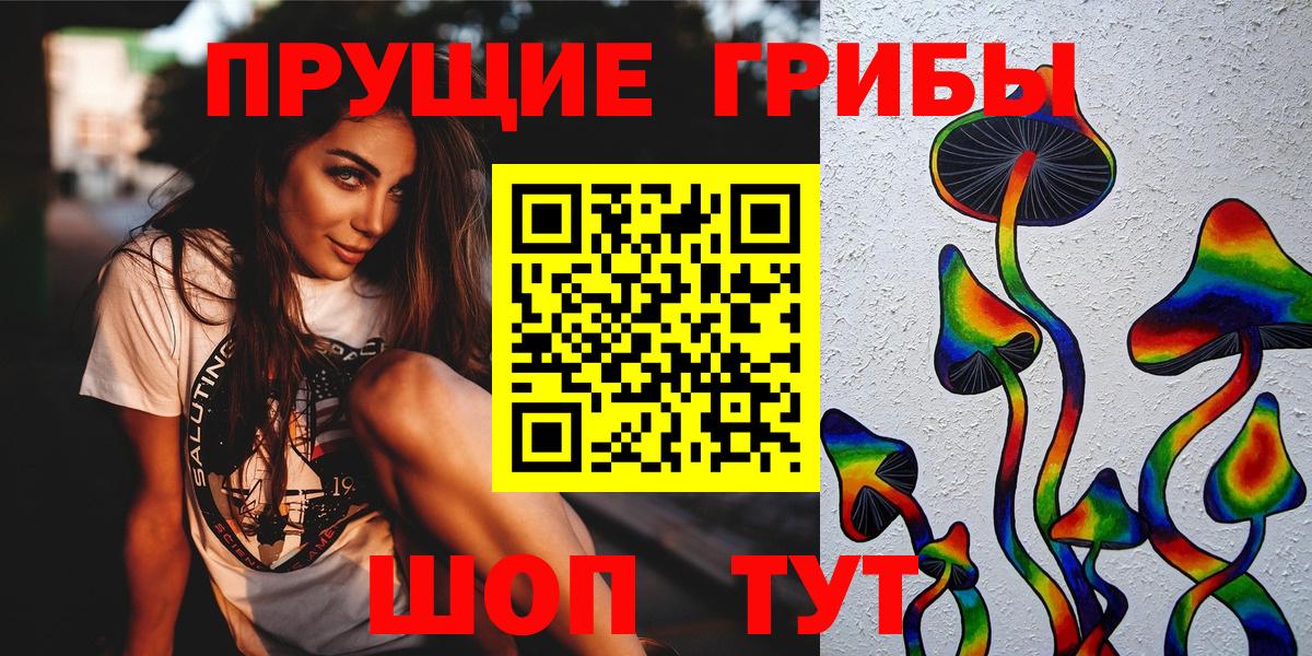 Орск  Псилоцибиновые грибы Psilocybine cubensis  Вход с VPN 