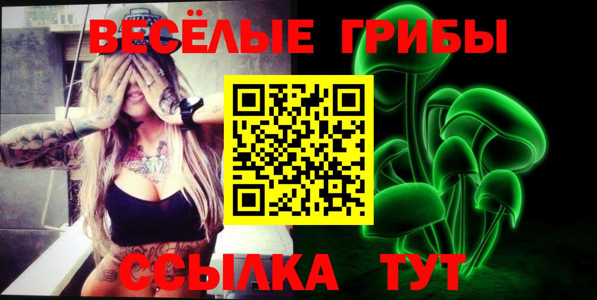 Галлюциногенные грибы Cubensis Орск